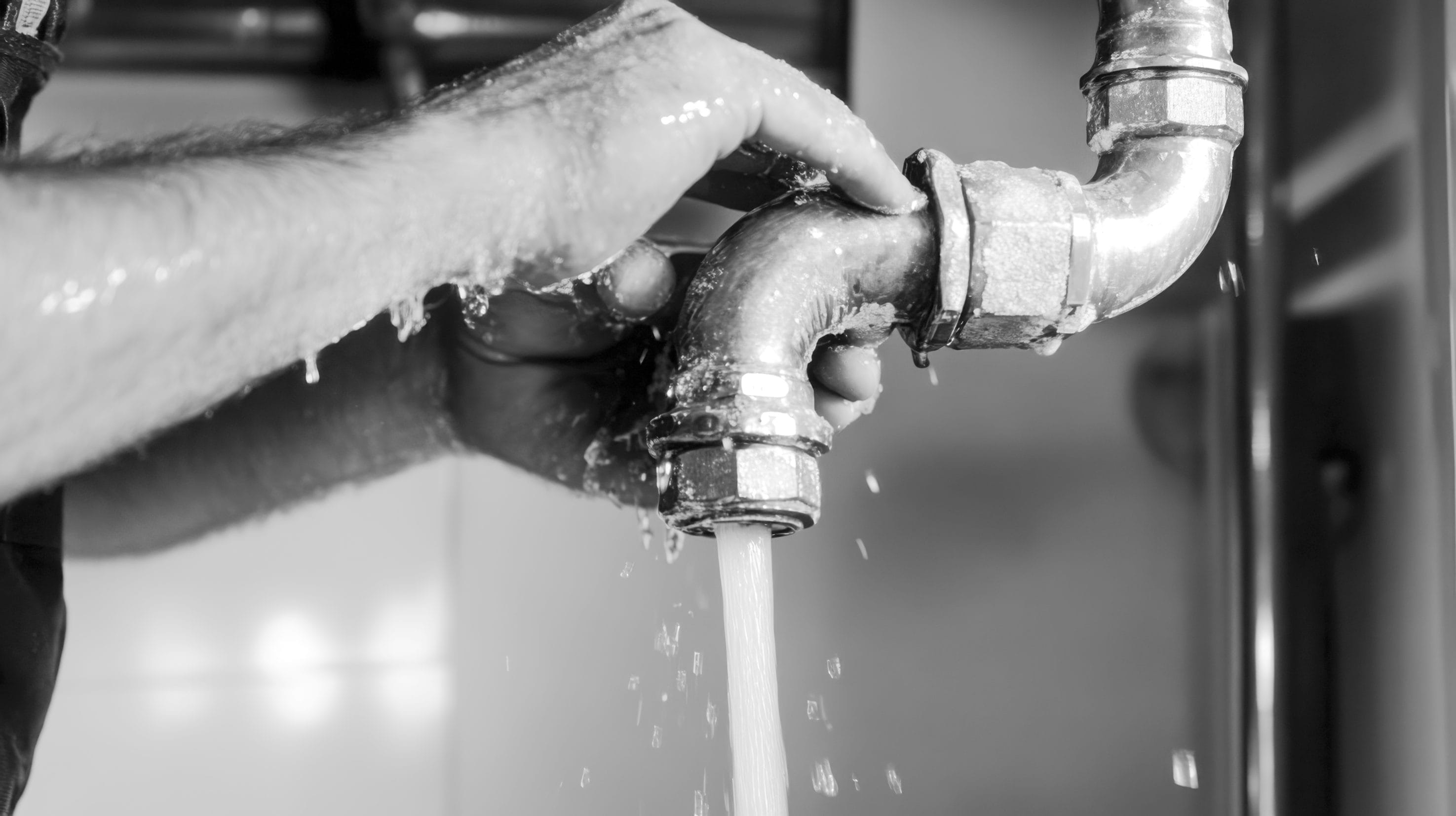 Water Leak Detection Technician Using Equipment
